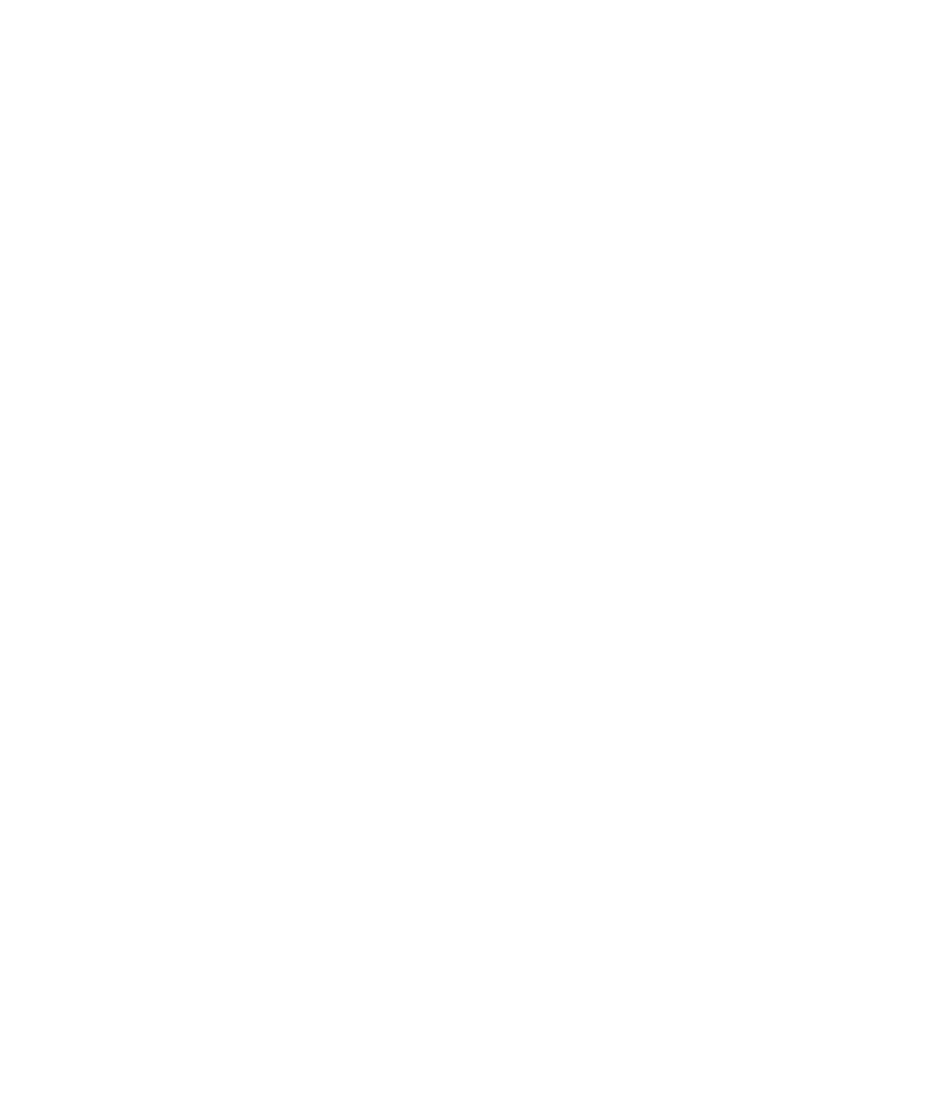 Overview of main features of Raph Rover